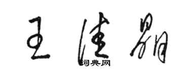 駱恆光王佳晶草書個性簽名怎么寫