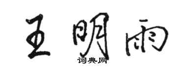 駱恆光王明雨行書個性簽名怎么寫