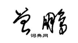 朱錫榮曾鵬草書個性簽名怎么寫