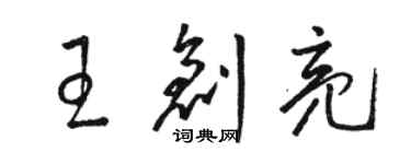 駱恆光王創亮草書個性簽名怎么寫