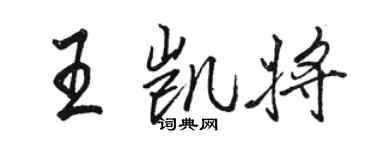 駱恆光王凱將行書個性簽名怎么寫