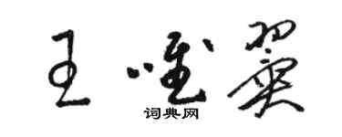 駱恆光王唯翼草書個性簽名怎么寫