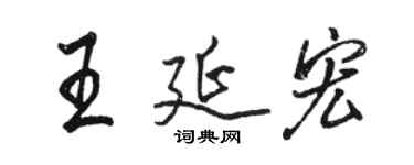 駱恆光王延宏行書個性簽名怎么寫