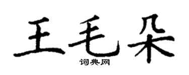 丁謙王毛朵楷書個性簽名怎么寫