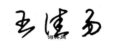 朱錫榮王佳易草書個性簽名怎么寫