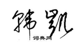 梁錦英韓凱草書個性簽名怎么寫