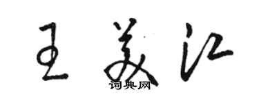 駱恆光王美江草書個性簽名怎么寫