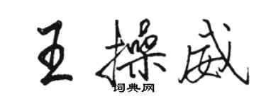 駱恆光王操威行書個性簽名怎么寫