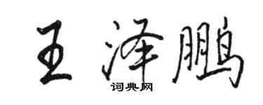 駱恆光王澤鵬行書個性簽名怎么寫