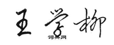 駱恆光王學柳行書個性簽名怎么寫