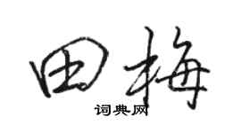 駱恆光田梅行書個性簽名怎么寫