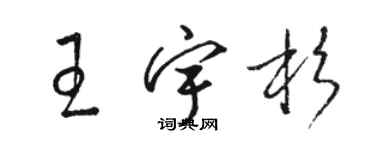 駱恆光王宇杉草書個性簽名怎么寫