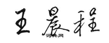 駱恆光王晨程行書個性簽名怎么寫