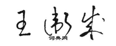 駱恆光王衛成草書個性簽名怎么寫
