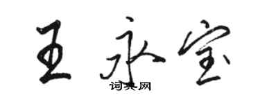 駱恆光王永寶行書個性簽名怎么寫