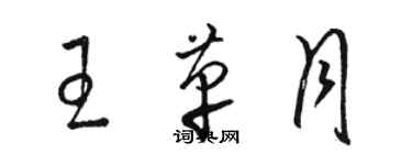 駱恆光王革月草書個性簽名怎么寫