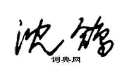 朱錫榮沈鴿草書個性簽名怎么寫