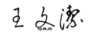 駱恆光王文潔草書個性簽名怎么寫