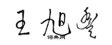 駱恆光王旭豐草書個性簽名怎么寫