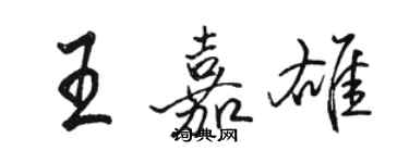 駱恆光王嘉雄行書個性簽名怎么寫