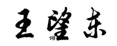 胡問遂王望東行書個性簽名怎么寫