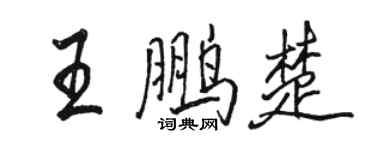 駱恆光王鵬楚行書個性簽名怎么寫