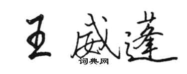 駱恆光王威蓬行書個性簽名怎么寫
