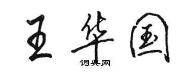 駱恆光王華國行書個性簽名怎么寫