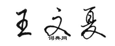 駱恆光王文夏行書個性簽名怎么寫