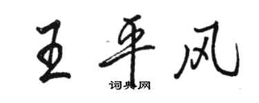 駱恆光王平風行書個性簽名怎么寫