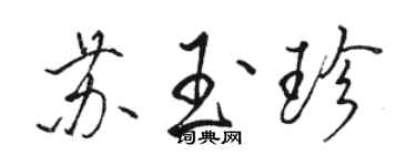 駱恆光蘇玉珍行書個性簽名怎么寫