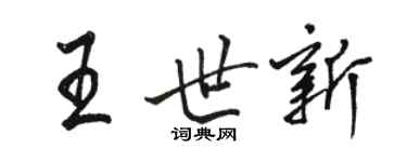 駱恆光王世新行書個性簽名怎么寫