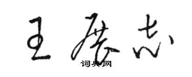 駱恆光王展志草書個性簽名怎么寫