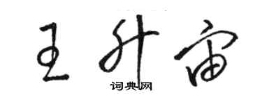 駱恆光王升宙草書個性簽名怎么寫