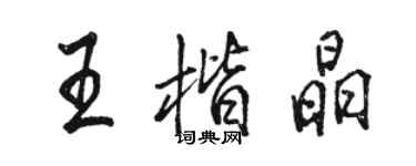 駱恆光王楷晶行書個性簽名怎么寫