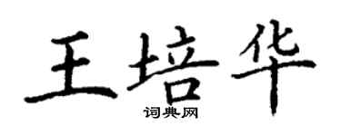 丁謙王培華楷書個性簽名怎么寫