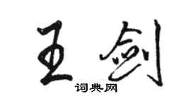 駱恆光王劍行書個性簽名怎么寫