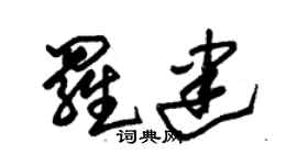 朱錫榮羅建草書個性簽名怎么寫