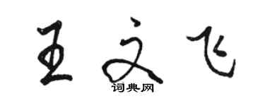 駱恆光王文飛行書個性簽名怎么寫