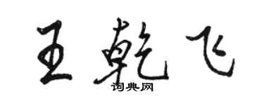 駱恆光王乾飛行書個性簽名怎么寫