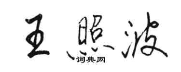 駱恆光王照波行書個性簽名怎么寫