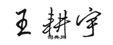 駱恆光王耕宇行書個性簽名怎么寫