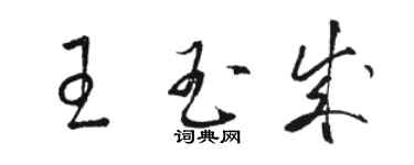 駱恆光王玉成草書個性簽名怎么寫