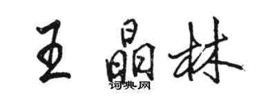 駱恆光王晶林行書個性簽名怎么寫