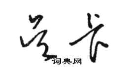 駱恆光吳卡草書個性簽名怎么寫