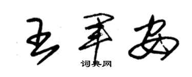 朱錫榮王軍安草書個性簽名怎么寫