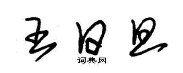 朱錫榮王日旦草書個性簽名怎么寫