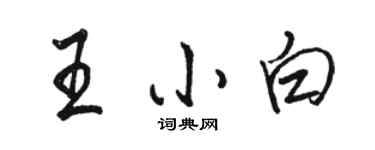 駱恆光王小白行書個性簽名怎么寫