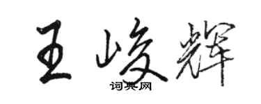 駱恆光王峻輝行書個性簽名怎么寫