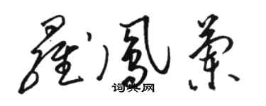 駱恆光羅鳳蘭草書個性簽名怎么寫